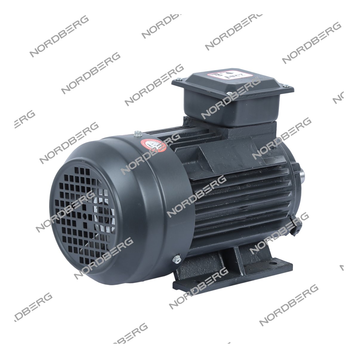 Мотор 220В для NGT20 NORDBERG NGT20#MOTOR220