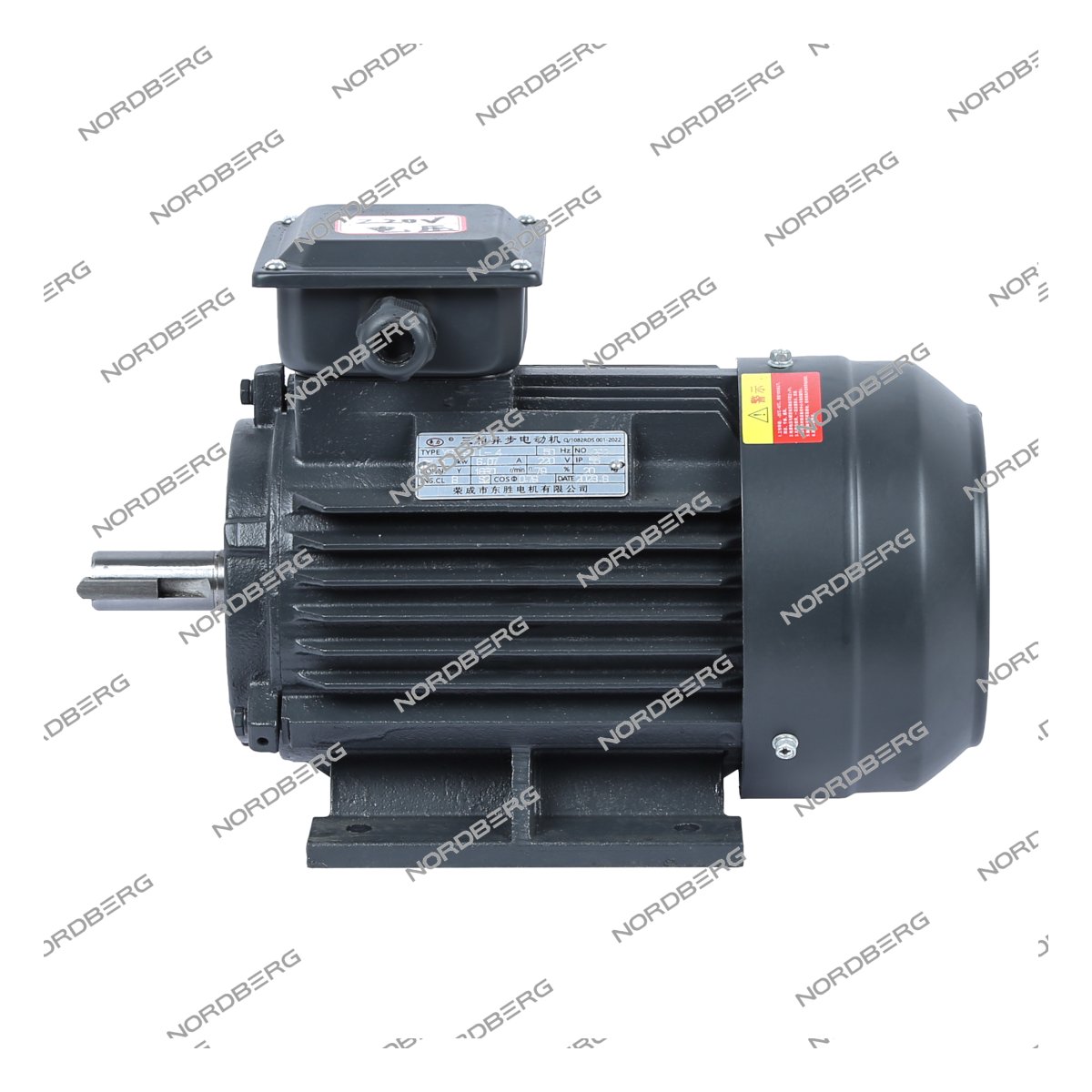 Мотор 220В для NGT20 NORDBERG NGT20#MOTOR220
