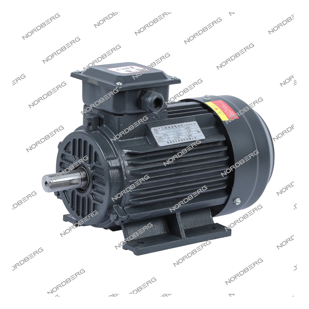 Мотор 220В для NGT20 NORDBERG NGT20#MOTOR220